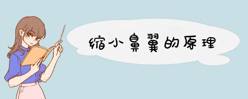 缩小鼻翼的原理