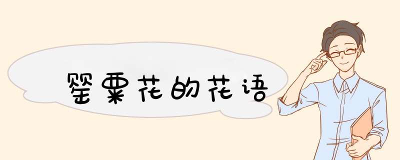 罂粟花的花语