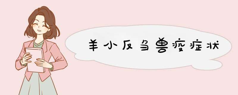 羊小反刍兽疫症状