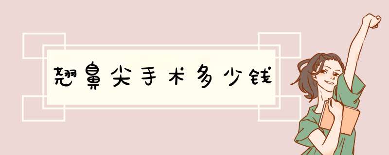 翘鼻尖手术多少钱