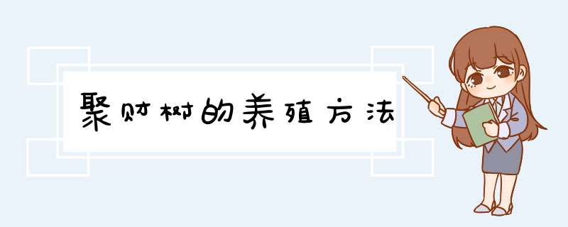 聚财树的养殖方法