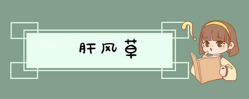 肝风草