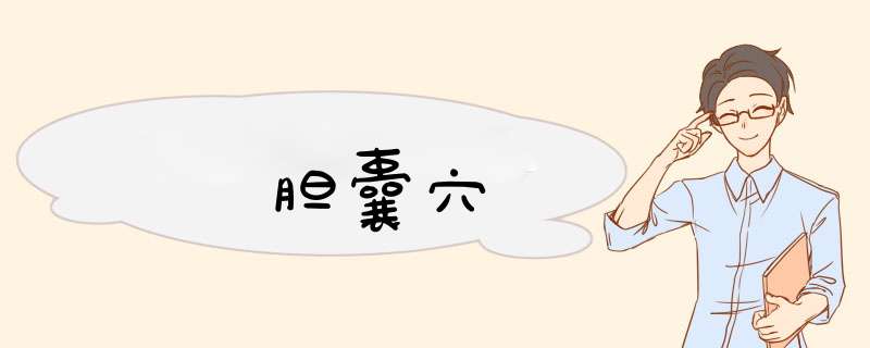 胆囊穴