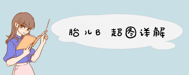 胎儿B超图详解