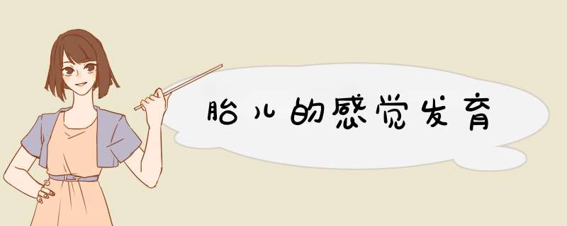 胎儿的感觉发育