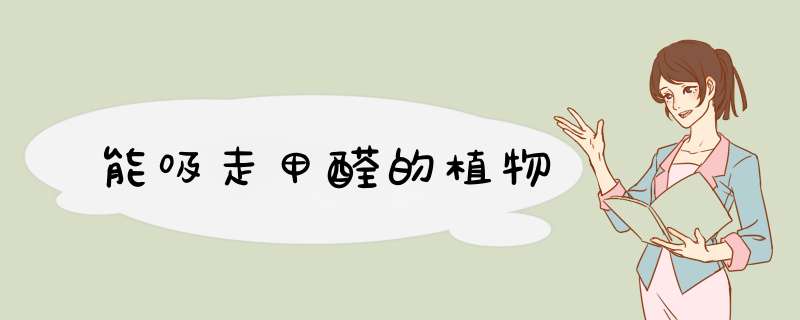 能吸走甲醛的植物