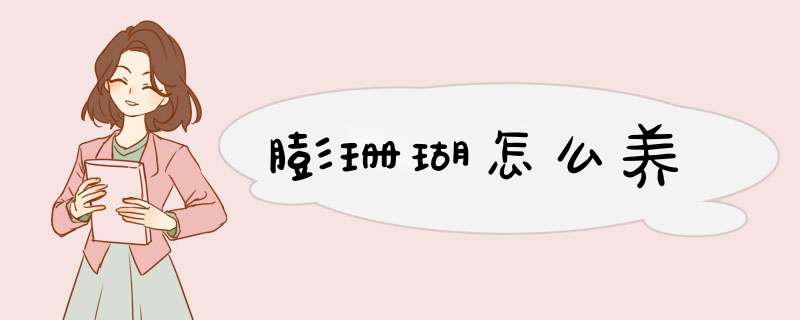膨珊瑚怎么养