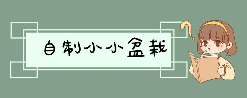 自制小小盆栽