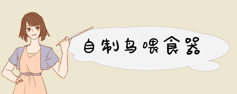 自制鸟喂食器