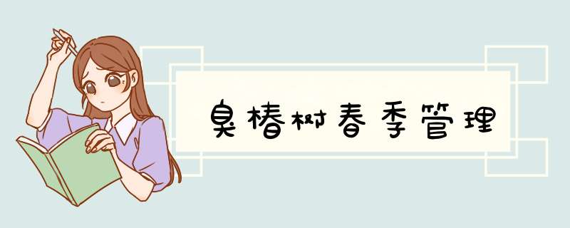臭椿树春季管理