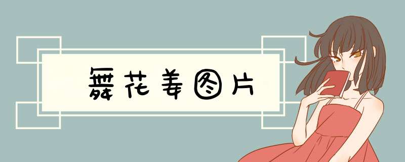 舞花姜图片