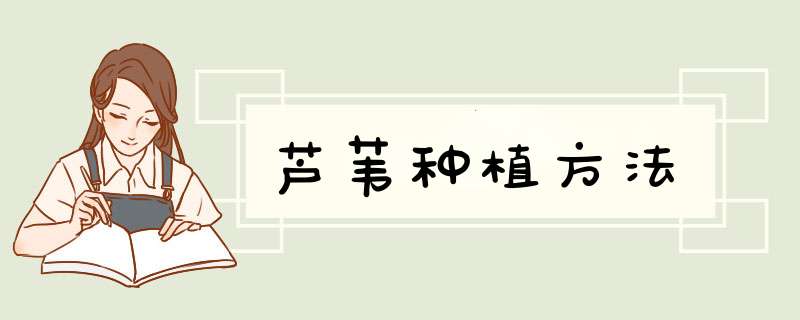 芦苇种植方法
