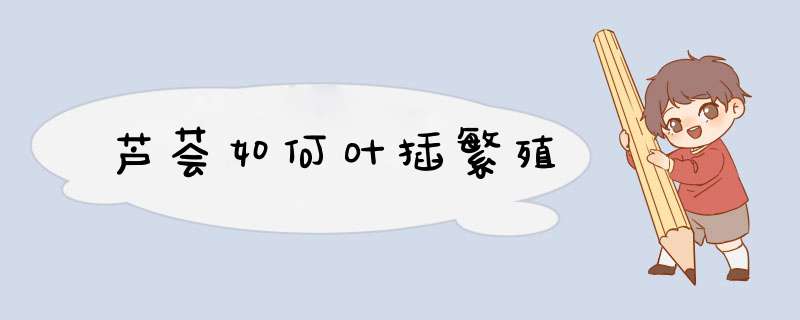 芦荟如何叶插繁殖