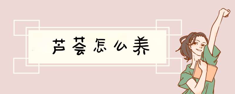 芦荟怎么养