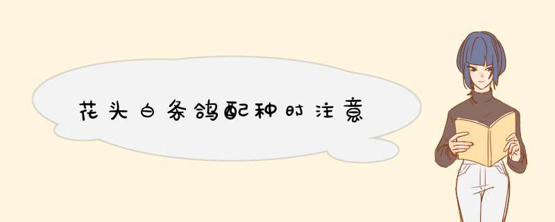 花头白条鸽配种时注意