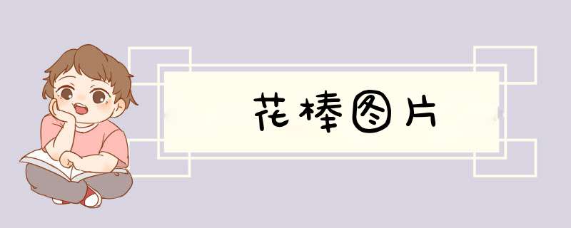 花棒图片