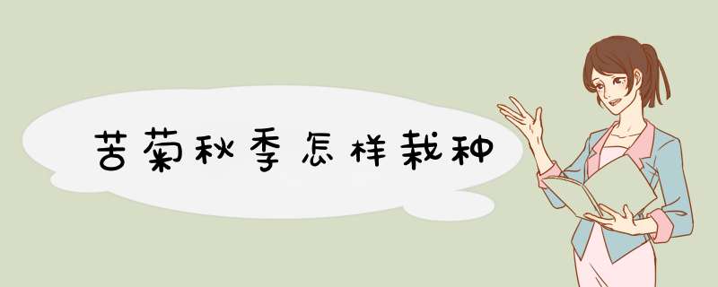 苦菊秋季怎样栽种