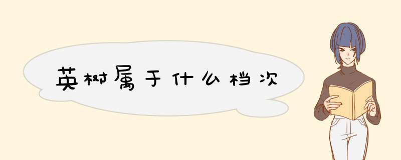 英树属于什么档次