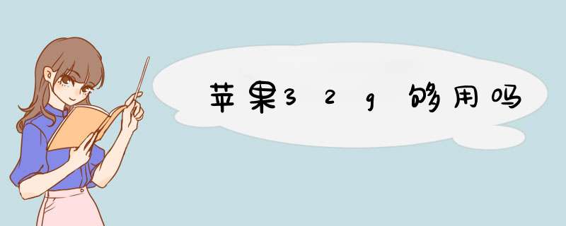 苹果32g够用吗