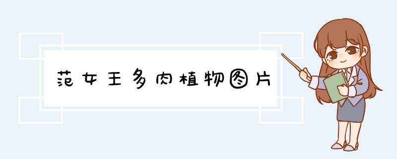 范女王多肉植物图片