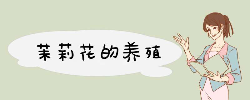 茉莉花的养殖