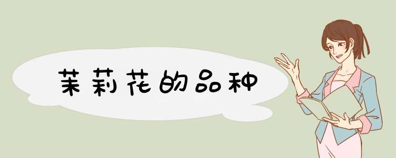 茉莉花的品种