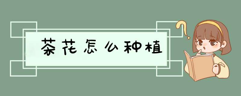 茶花怎么种植