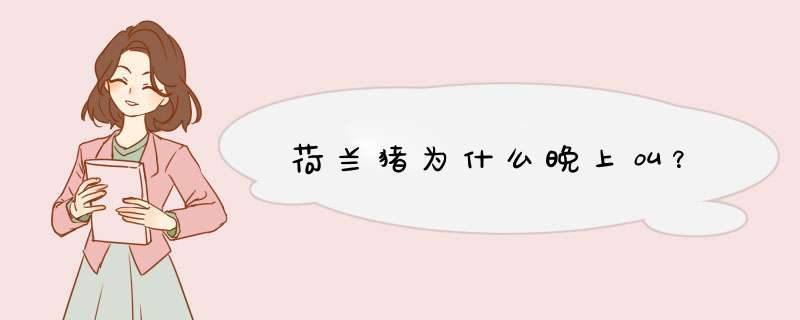 荷兰猪为什么晚上叫？