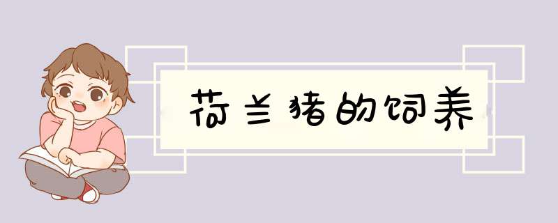荷兰猪的饲养