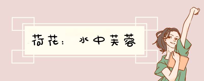 荷花：水中芙蓉