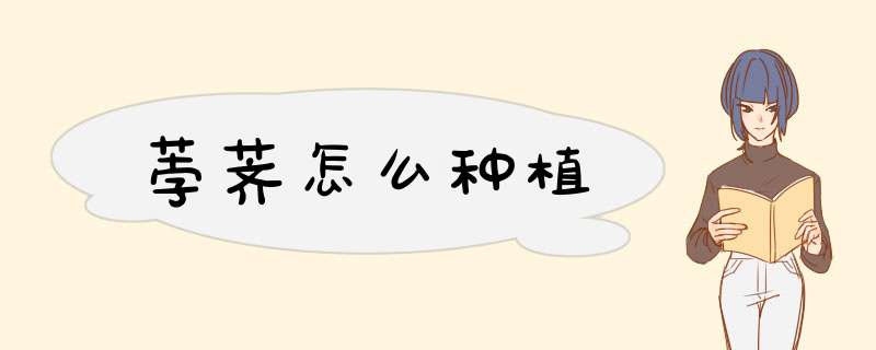 荸荠怎么种植