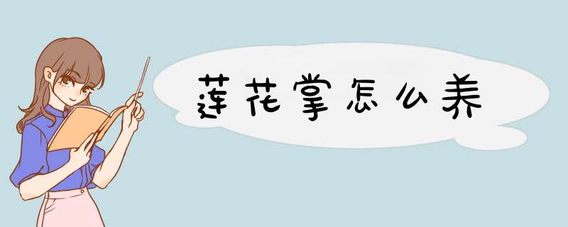 莲花掌怎么养