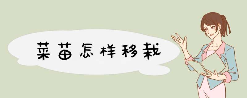 菜苗怎样移栽
