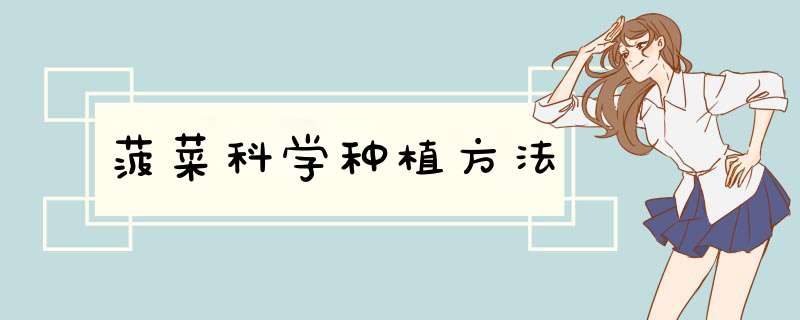 菠菜科学种植方法