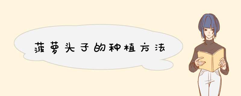 菠萝头子的种植方法