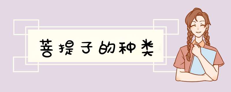 菩提子的种类