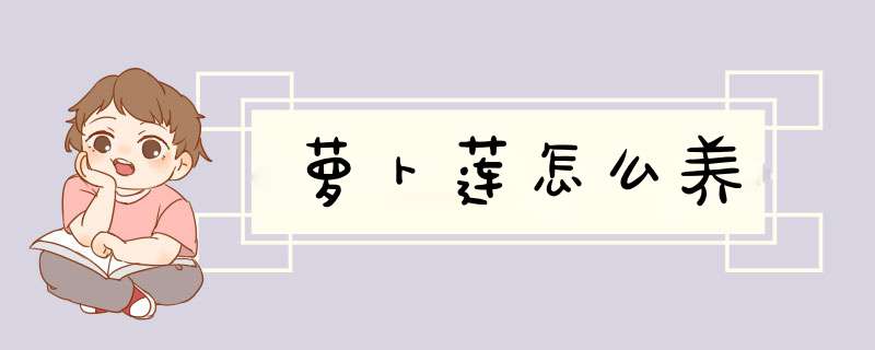 萝卜莲怎么养