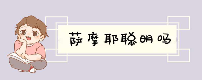 萨摩耶聪明吗