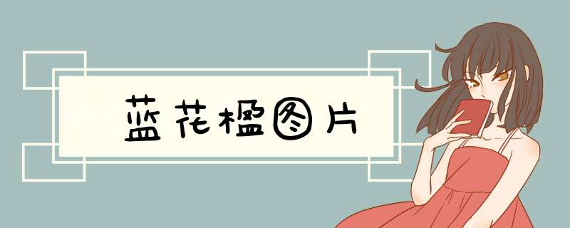 蓝花楹图片