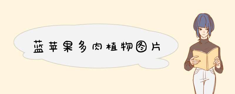 蓝苹果多肉植物图片
