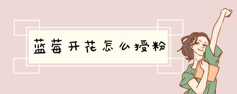 蓝莓开花怎么授粉