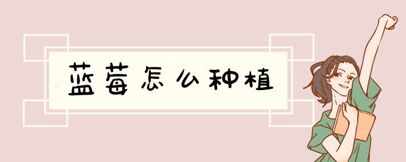 蓝莓怎么种植
