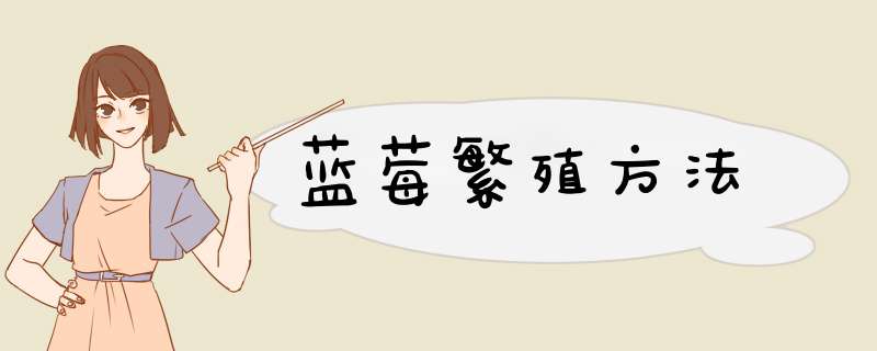 蓝莓繁殖方法