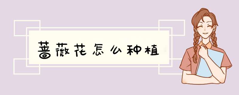 蔷薇花怎么种植