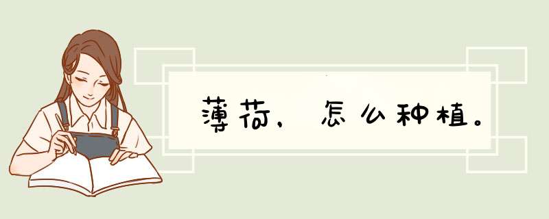 薄荷，怎么种植。