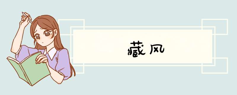 藏风