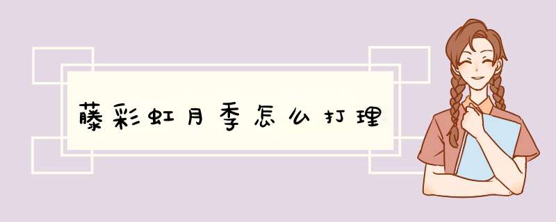 藤彩虹月季怎么打理