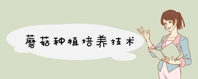 蘑菇种植培养技术