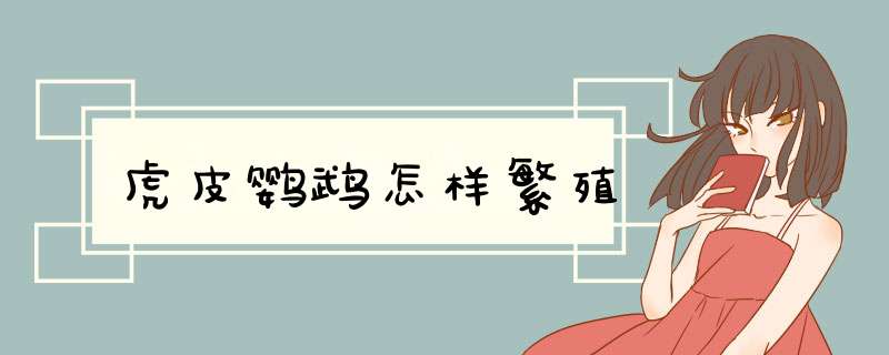 虎皮鹦鹉怎样繁殖