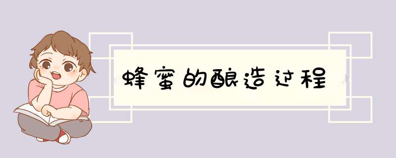 蜂蜜的酿造过程